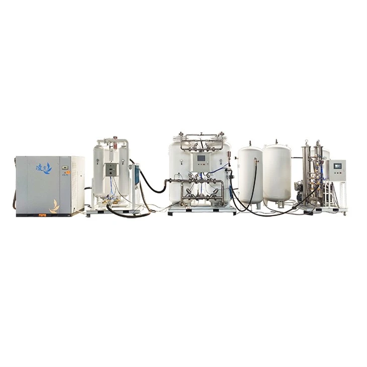 Hege Purity O2 Generator Oanpast